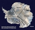 Image result for Arctapodema Antarctica Geslacht. Size: 118 x 104. Source: saylordotorg.github.io