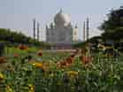 Gardens of Taj Mahal కోసం చిత్ర ఫలితం. పరిమాణం: 139 x 104. మూలం: www.gardenvisit.com