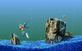 Image result for vista Screensaver Fish Tank. Size: 167 x 104. Source: aristarhryabov3.blogspot.com