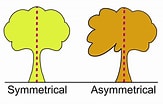 Image result for "gaussia Asymmetrica". Size: 163 x 104. Source: www.uxpin.com