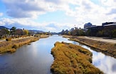京都 紅葉 鴨川 に対する画像結果.サイズ: 163 x 104。ソース: kyotomoyou.jp