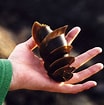 Afbeeldingsresultaten voor Crested Horn Shark egg. Grootte: 104 x 105. Bron: www.pinterest.com