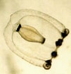 Afbeeldingsresultaten voor "ectopleura Dumortieri". Grootte: 101 x 105. Bron: www.marinespecies.org