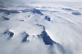 Image result for "saccospyris Antarctica". Size: 160 x 106. Source: www.yahoo.com