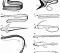 Image result for "macrostomias Longibarbatus". Size: 119 x 106. Source: www.researchgate.net