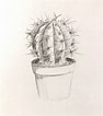 Image result for Cactus Tekenen. Size: 94 x 106. Source: www.etsy.com