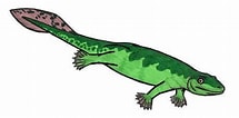 Image result for "acanthostaurus Hansen". Size: 215 x 106. Source: www.dinosaurjungle.com