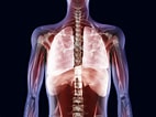 Image result for Human Trachea Anatomy. Size: 142 x 106. Source: www.verywellhealth.com