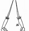 Image result for "calocalanus Styliremis". Size: 102 x 106. Source: copepodes.obs-banyuls.fr