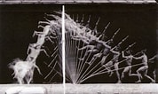 Image result for Etienne Jules Marey Oeuvres. Size: 178 x 106. Source: www.pinterest.de