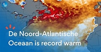 Afbeeldingsresultaten voor Atlantische Kleinstaarthaai rijk. Grootte: 203 x 106. Bron: www.noodweer.be