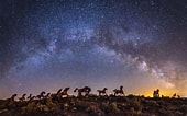 Image result for Wild Horse Vantage. Size: 170 x 106. Source: www.craiggoodwinphoto.com