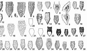 Afbeeldingsresultaten voor "Tintinnopsis Parvula". Grootte: 179 x 106. Bron: europepmc.org