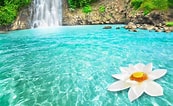 Image result for Waterfall Free screensaver For Laptop. Size: 173 x 106. Source: wallpaperaccess.com