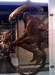 Image result for Alien Xenomorph Original. Size: 78 x 106. Source: www.pinterest.com