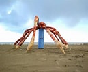 Image result for grootste krab ter wereld. Size: 129 x 106. Source: kw.be