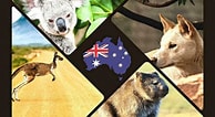 Bildergebnis für Australian Animals. Größe: 194 x 106. Quelle: kosmate.com.au