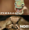 Résultat d’image pour Funny Chameleon. Taille: 101 x 106. Source: www.pinterest.com