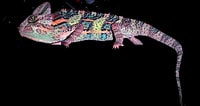 Chameleons Purple に対する画像結果.サイズ: 200 x 106。ソース: fr.fanpop.com