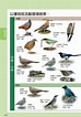Image result for 台灣野鳥網路圖鑑. Size: 74 x 106. Source: 24h.pchome.com.tw