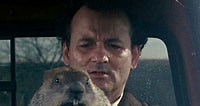Image result for Bill Murray and Groundhog. Size: 200 x 106. Source: austin.culturemap.com