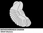 Image result for "bathochordaeus Charon". Size: 140 x 106. Source: www.deviantart.com