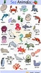 Image result for Sea Creatures List. Size: 60 x 106. Source: 7esl.com