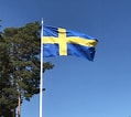 Bildresultat för Färgkod Svenska flaggan. Storlek: 119 x 106. Källa: nouw.com