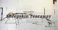 Peter Doherty Sheepskin Tearaway ਲਈ ਪ੍ਰਤੀਬਿੰਬ ਨਤੀਜਾ. ਆਕਾਰ: 202 x 106. ਸਰੋਤ: www.youtube.com