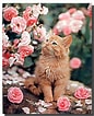 Bildresultat för cats and Roses. Storlek: 86 x 106. Källa: www.pinterest.com