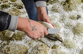 Image result for Gone Fishing Knives. Size: 164 x 106. Source: www.flickr.com