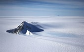 Image result for Arctapodema Antarctica Geslacht. Size: 170 x 106. Source: abcnews.go.com