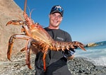 Image result for American Lobster Species. Size: 150 x 106. Source: therogueoutdoorsman.com