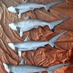 Image result for "carcharhinus Sorrah". Size: 106 x 106. Source: www.picture-worl.org