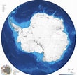 Arctapodema Antarctica Geslacht に対する画像結果.サイズ: 110 x 106。ソース: popmap.blogspot.com