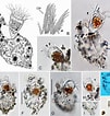 Afbeeldingsresultaten voor "Tintinnopsis Parvula". Grootte: 101 x 106. Bron: www.researchgate.net