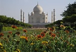 Risultato immagine per Taj Mahal Gardens. Dimensioni: 153 x 106. Fonte: www.gardenvisit.com