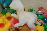 Image result for 水で大きくなる おもちゃ. Size: 159 x 106. Source: plaza.rakuten.co.jp