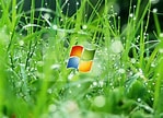 Image result for Vista Wallpaper Packs. Size: 149 x 108. Source: wallpaperaccess.com