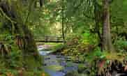 Image result for Olympic National Park. Size: 182 x 109. Source: www.pinterest.com