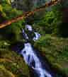 Image result for Olympic National Park. Size: 96 x 109. Source: photographylife.com