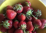 Image result for Bowl of Strawberries with maple. Size: 150 x 110. Source: berkshiregrown.org