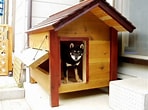 Image result for 犬小屋作り方. Size: 148 x 110. Source: blog.inugoyak.com
