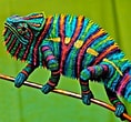 Résultat d’image pour caméléon couleur. Taille: 118 x 110. Source: www.pinterest.de