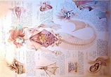 Image result for Ondina diaphana Anatomie. Size: 158 x 110. Source: www.pinterest.com