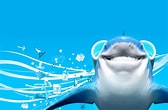 Image result for Moving Wallpapers, Sharks. Size: 168 x 110. Source: www.wallpapersafari.com