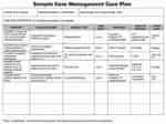 Image result for Case Management Care Plan Examples. Size: 150 x 112. Source: pictimilitude.com