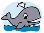 mida de Resultat d'imatges per a Whale Toons.: 150 x 112. Font: wikiclipart.com