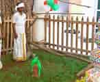 Image result for Pongal celebration Ideas. Size: 146 x 120. Source: www.youtube.com
