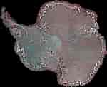 Image result for "triceraspyris Antarctica". Size: 150 x 122. Source: www.zmescience.com